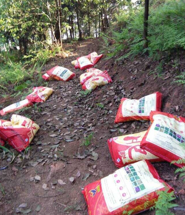 石城山工区施底肥，，，，苗木修剪及栽植.png